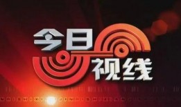 今日爆料,今日爆料背后的惊人真相